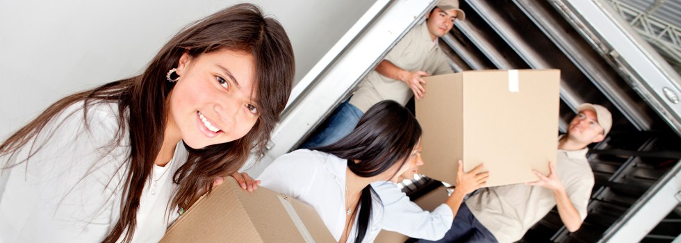 Professional Removalists Dingwall